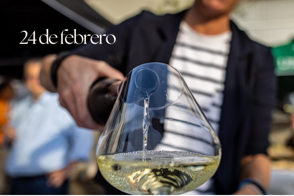 Imagen promocional de Experiencia Verema Mallorca 2025