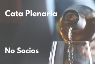 Cata Plenaria de la Experiencia Verema Valencia 2026