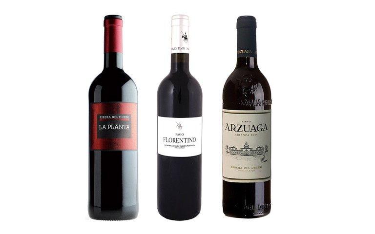 Lote especial Arzuaga Botella vino La Planta Arzuaga , vino Pago Florentino Arzuag, Arzuaga Crianza