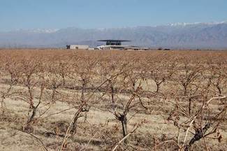 Vinos sin fronteras en Sudamérica