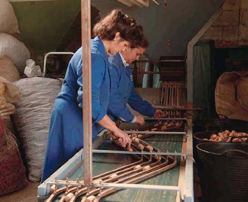 El corcho: ecológico sostenible y reciclable