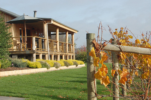 Los viñedos de Victoria