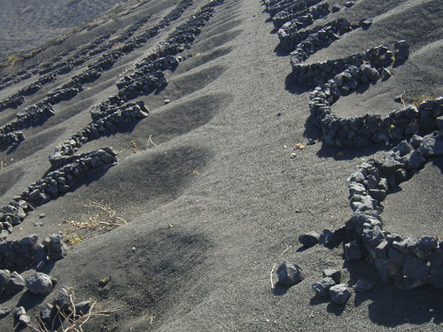 Fotografías del Primer Concurso Nacional de Fotografía Verema
