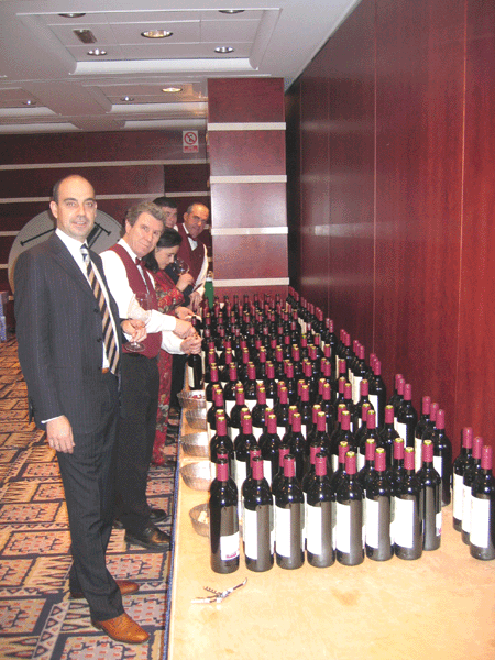 Cata Vertical de doce añadas de Alión (1991-2002)