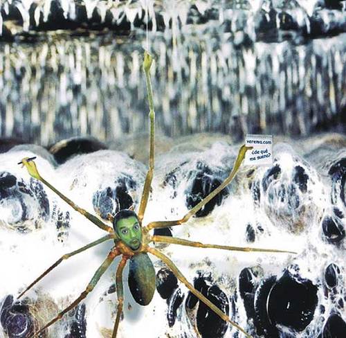 Cuaderno de campo de un alienígena con forma de araña.