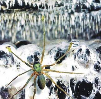 Cuaderno de campo de un alienígena con forma de araña.