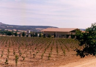 Visitando la Ribera del Duero: Vega - Sicilia