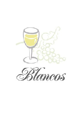 Cata de vinos blancos en Bodegas Montaña
