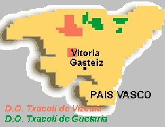 Txakolí de Vizcaya: Ayer, hoy y mañana