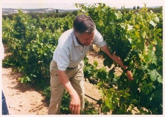 Visitando la Ribera del Duero (y II).