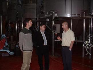 Vinos de Murcia, un valor seguro