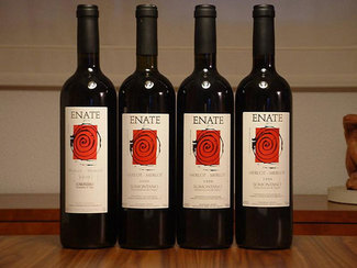 Vertical de Enate Merlot-Merlot