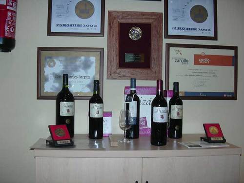 Visita y cata en la Bodega “Alizán Bodegas y Viñedos"