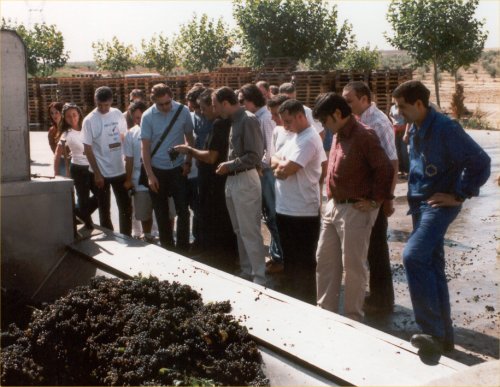 Crónica del II Encuentro de foreros y peñas