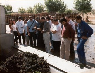 Crónica del II Encuentro de foreros y peñas