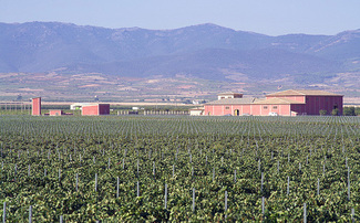 72 Ha de viñedo propio