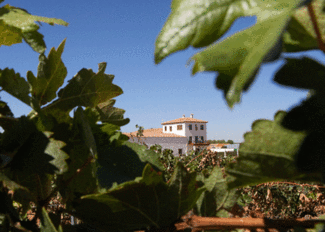 La Bodega