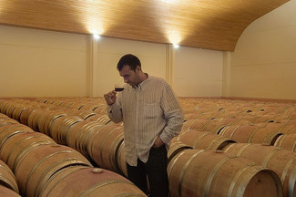 Catando en la sala de barricas