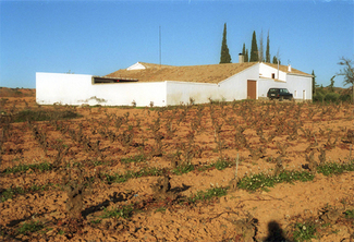 Vista panorámica de la bodega