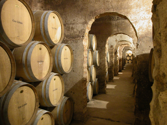 Interior de la bodega