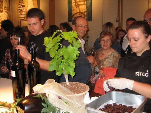 Tast amb Llops y Fira del Vi 2008