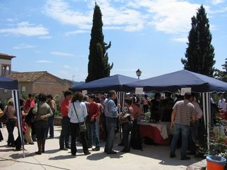 Catando con Lobos: Segunda edición