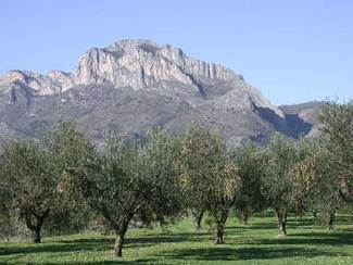 Panorámica Olivos