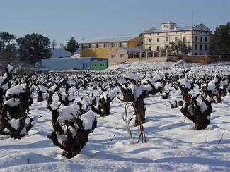 Vista casa s. XIX donde se ubica la bodega nevada