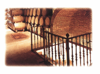 Interior de la Bodega