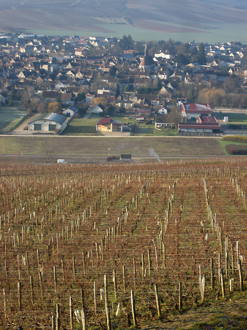 Vinos Sin Fronteras: un poco de turismo del vino en Francia...