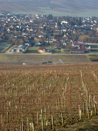 Vinos Sin Fronteras: un poco de turismo del vino en Francia...