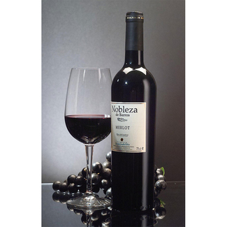 Nobleza de Barros Merlot