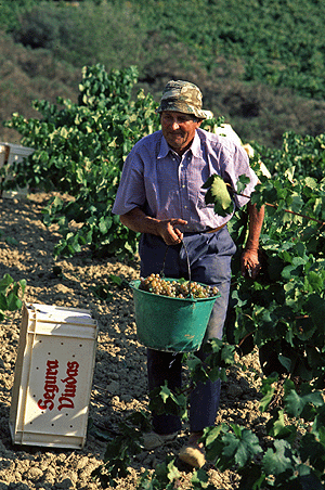 Cava - "de simple a chic" (2ª parte)