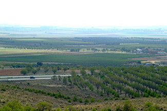 Imagen del entorno de Bodegas Casa Gualda