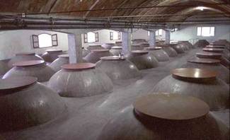 Interior de la bodega