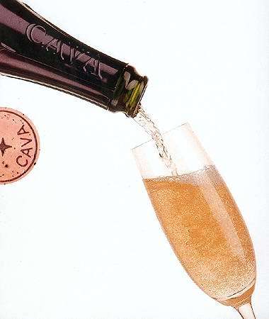 El origen de unas burbujas (I)