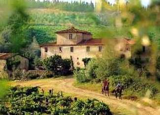 Los vinos de Italia (II)