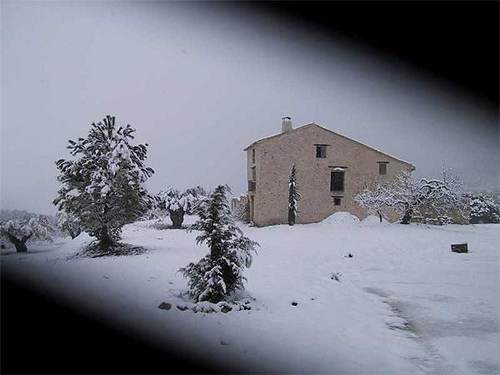 Vinos de Extremadura: buscando la calidad al mejor precio 