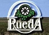 Vinos de Rueda: una D.O. en efervescencia