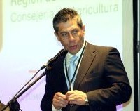 El vino español ante la crisis económica