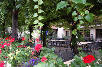 Patio para mañanas y tardes