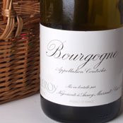 Vinos para la iniciación a la cata Parte I: Vinos blancos y rosados 