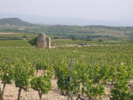 Paisaje del Viñedo: Patrimonio y Recurso (II)