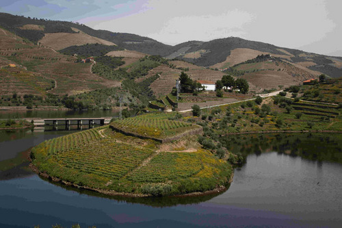 Paisaje del Viñedo: Patrimonio y Recurso (VI)