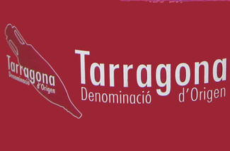 Cata de vinos catalanes de Verema.com