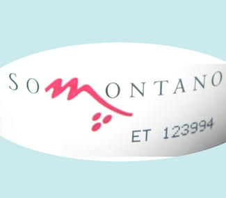 Cata de vinos blancos nacionales 