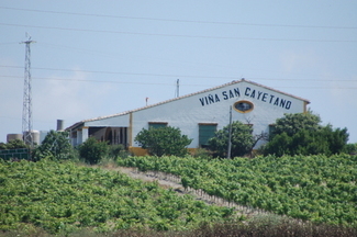 Viña San Cayetano