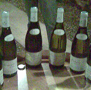 Mi primera visita a la Borgoña (i)