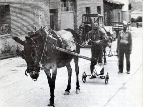El Atlas del Cultivo Tradicional del Viñedo en España