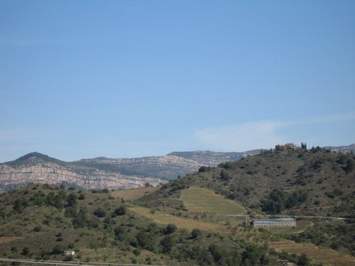 Tast amb Llops: Catando con Lobos 2009